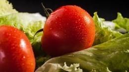 Красный «Огонек»! Салат из томатов и вишни от шеф-повара Василия Емельяненко
