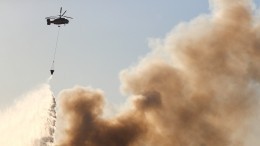 Российские военные помогли сирийским спасателям потушить пожар в горах
