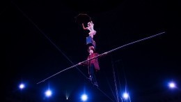 Три цирковых гимнаста сорвались с большой высоты в Новокузнецке — видео