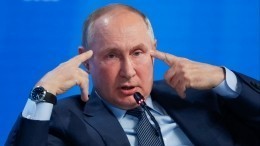 Зарубин упрекнул журналистку CNBC Гэмбл в невнимательности к Путину