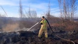 Уже неделю вокруг Екатеринбурга тлеют торфяники, лишая жителей свежего воздуха