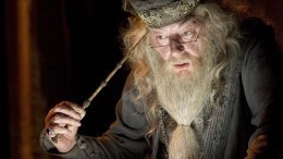 Гермиона или Дамблдор: какой вы персонаж из Гарри Поттера по знаку зодиака