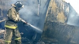 В МЧС назвали вероятные причины пожара на заводе под Рязанью
