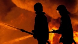 Пожарные спасли трех малышей из горящей квартиры в Новосибирске