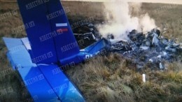 Погибли на глазах у внуков: страшные детали крушения А-22 в Подмосковье