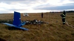 Следственный комитет опубликовал видео крушения самолета в Подмосковье