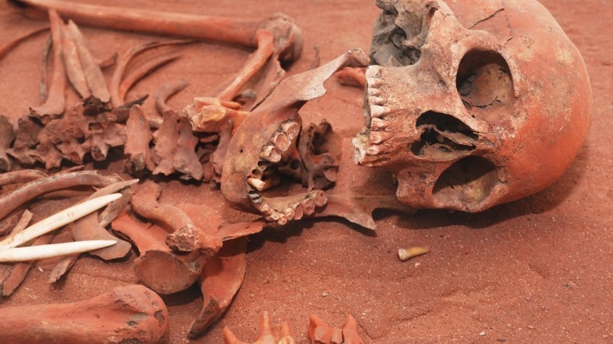 В Нижнем Тагиле нашли закопанные в лесополосе останки 14 человек