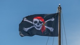 Стали известны подробности спасения военными РФ панамских моряков от пиратов