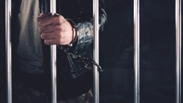 Суд арестовал всех фигурантов дела о нападении на молодого отца в Новой Москве