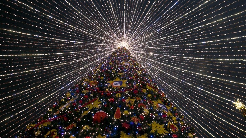 Выбрана главная новогодняя елка России