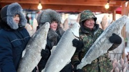 Ученые назвали замедляющий старение мозга продукт