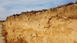 Свисающие с обрыва человеческие останки нашли у побережья в Крыму — видео