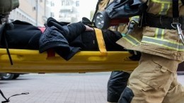 Женщина и пятеро детей погибли в пожаре под Воронежем
