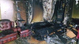 Запылившийся «стопудовый хит» и плюшевый тигр из 90-х: что уцелело в сгоревшей комнате Хлебниковой