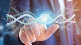 «Исправить то, что записано в скрижалях»: как наука борется с генетическими заболеваниями
