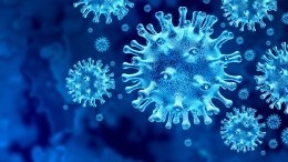 Во Франции заявили о «стремительном» начале пятой волны коронавируса