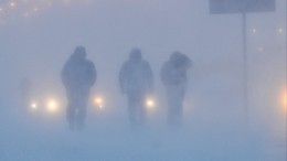 Снежная метель устроила транспортный коллапс в Мурманской области