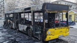 Пассажирский автобус сгорел дотла на севере Петербурга