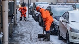 Собянин призвал сокращать количество дворников-мигрантов в Москве