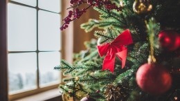 «Символ жизни и смерти»: медиум рассказала о сакральном смысле новогодней ели