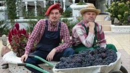 Виноградари и виноделы России учредили федеральную саморегулируемую организацию