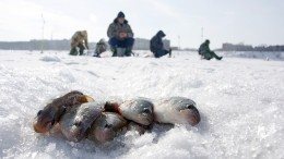 Рыбаки в Сибири наткнулись на рыбный клад и сняли его на видео