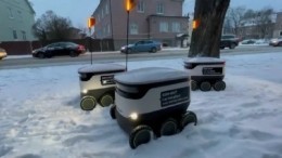 Нано-пробку создали в Эстонии роботы-курьеры из-за снега