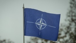 США заподозрили в «программировании» стран-участниц НАТО против РФ