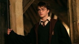 Первое издание «Гарри Поттера» продали на аукционе за рекордные $471 тысяч