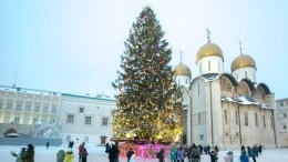 Деревенская красавица: в Подмосковье срубили главную елку страны