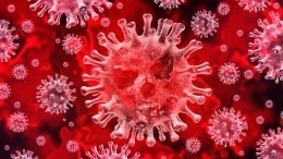 Pfizer: заразившийся одновременно «омикроном» и «дельтой» может родить новый вирус