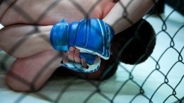 Бразильские политики подрались по правилам MMA из-за закрытого аквапарка