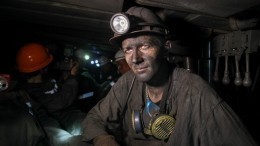 Из-за нехватки угля на Украине предложили ЖКХ перейти на биотопливо