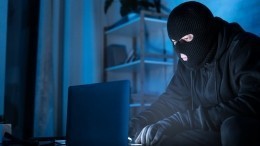 В ОНФ предупредили о новом виде интернет-мошенничества перед Новым годом