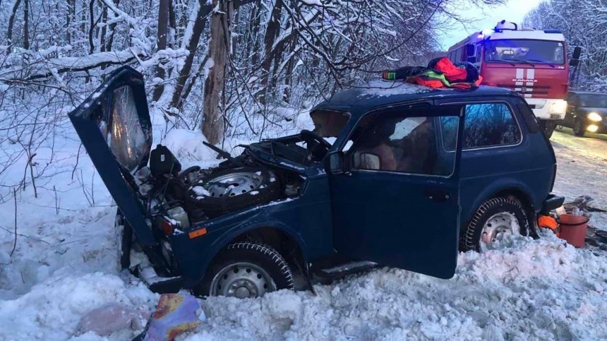 Пенсионерка и две ее внучки погибли в «лобовом» ДТП в Нижегородской области