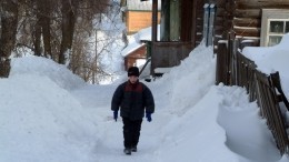 Кто виноват в гибели заблудившегося на холоде в Подмосковье 11-летнего школьника