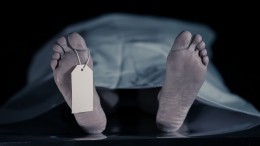 Жена умершего от тромбоза пациента сняла на видео пьянствующих после его смерти врачей в больнице Лесосибирска