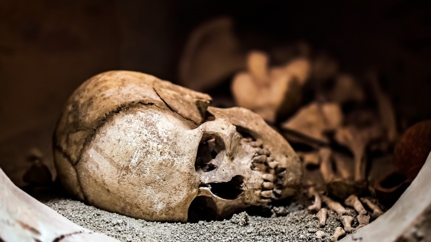 Найдены череп и кости школьницы, которую искали в Нижегородской области девять лет