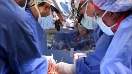 Эксперимент отчаяния: в Минздраве оценили пересадку человеку сердца свиньи-мутанта