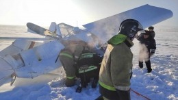 Названа предварительная причина падения легкомоторного самолета в Алтайском крае