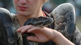 Экзотические животные на выставке в Татарстане содержались в невыносимых условиях
