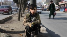 В результате землетрясения в Афганистане погибли 26 человек