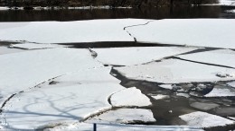 Опубликовано видео с места гибели провалившегося под лед на Неве мальчика