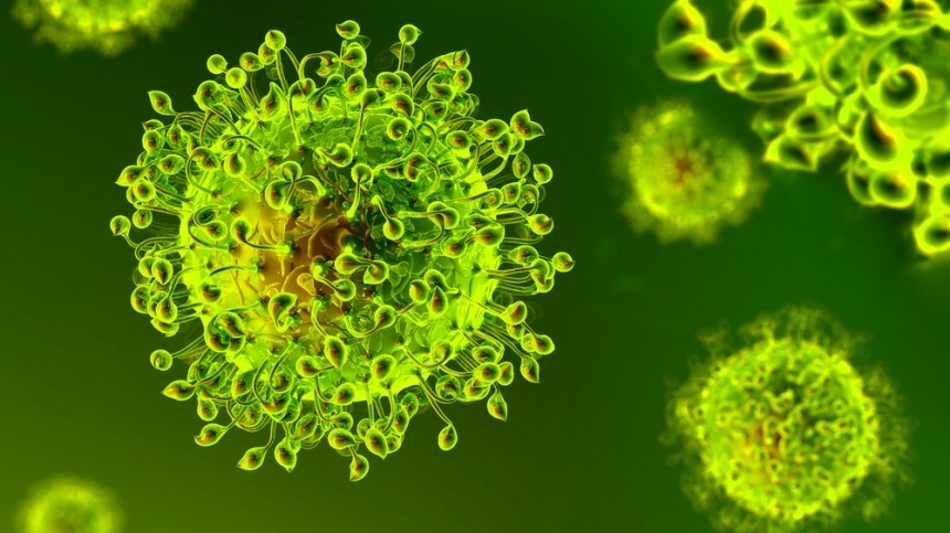 В ЮАР обнаружили новый потенциально опасный для людей коронавирус