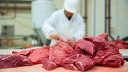 В России искусственное мясо будут делать из насекомых