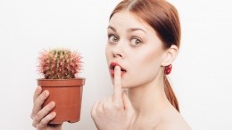 Цветок-разлучник: Почему женщинам нельзя держать в доме кактус