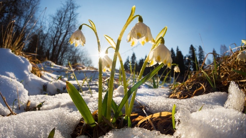 Метеоролог Локощенко рассказал, когда начнется весна в России