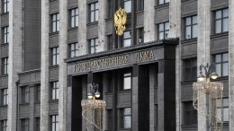 Госдума проголосовала за срочную отправку Путину обращения о признании ДНР и ЛНР