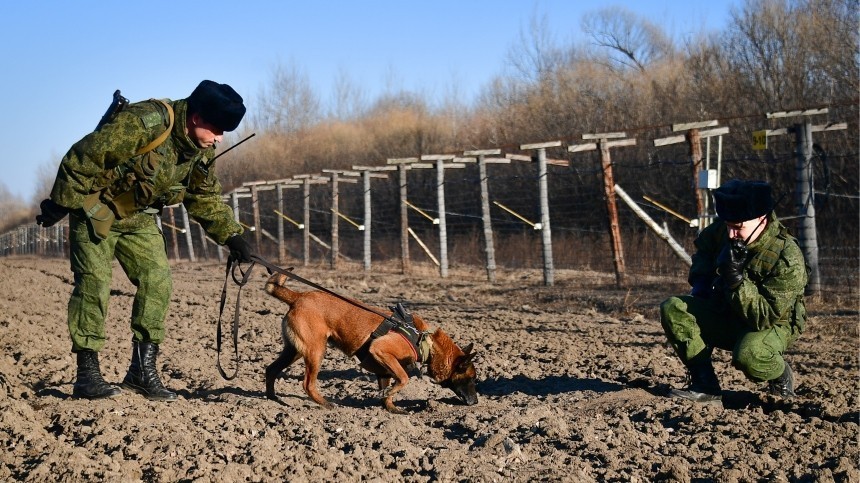 Пять диверсантов с Украины были уничтожены в ходе нарушения границы РФ