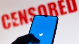 Роскомнадзор приступил к блокировке Twitter в России